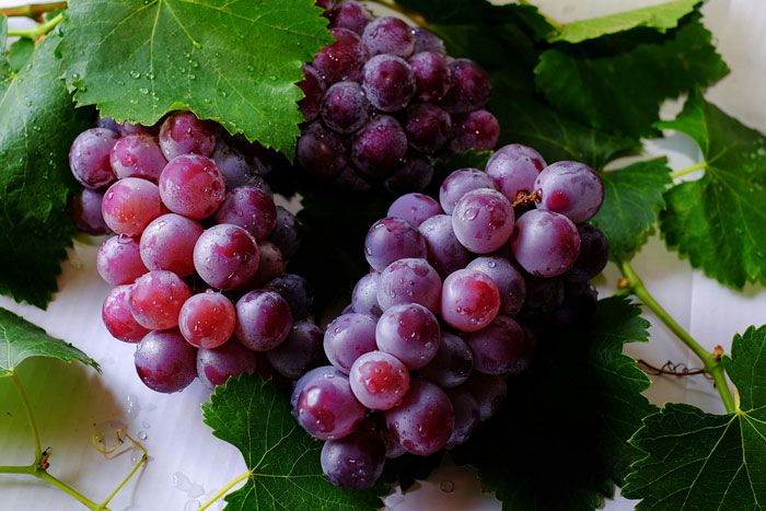 60YO Lady Gets Senior Discount, Buys 109 Pounds of Grapes For $8, Upset When Wine-Making Goes South