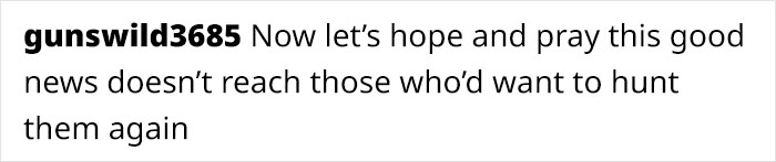 Sei Whales That Left The Coasts Of Argentina Nearly 100 Years Ago Have Recently Been Spotted Again Sei Whales That Left The Coasts Of Argentina Nearly 100 Years Ago Have Recently Been Spotted Again