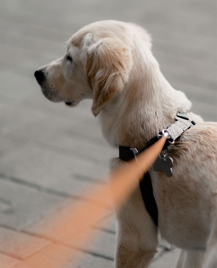 Caught In The Act: 50 Hilarious “It’s Not What It Looks Like” Stories