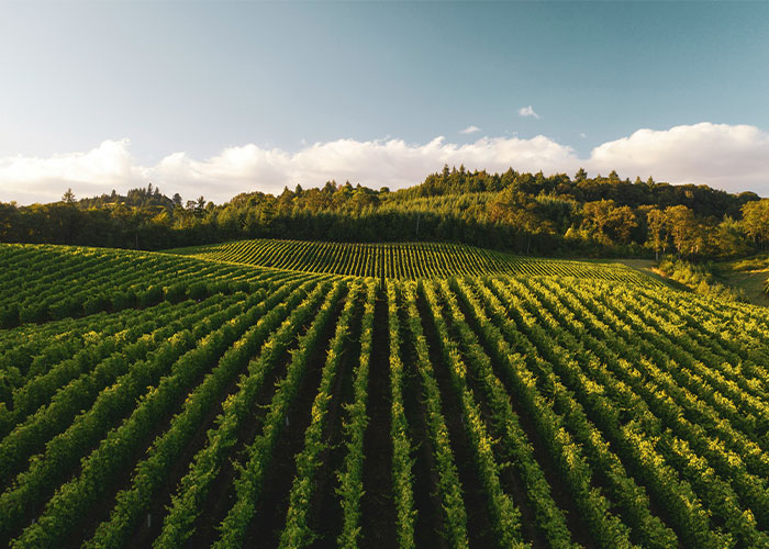 30 People Share What Happened To Their High School’s “Most Likely To Succeed” Student