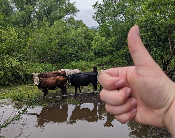 Overweight Teen Starts A Fitness Revolution Online As His Posts Become Inspiration For Many Netizens