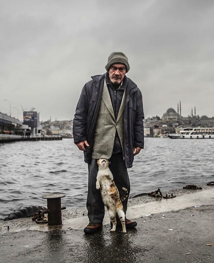 The Best Cat Photographs According To The Street Photographers Foundation (33 Pics)