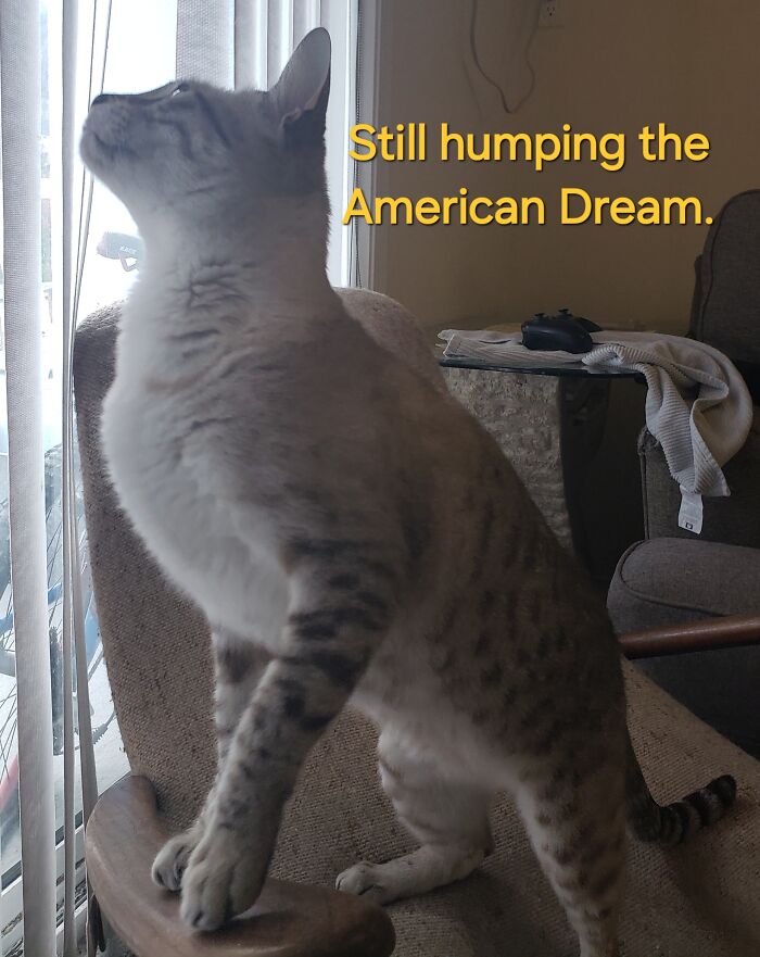 I Think He'd Seen A Fly