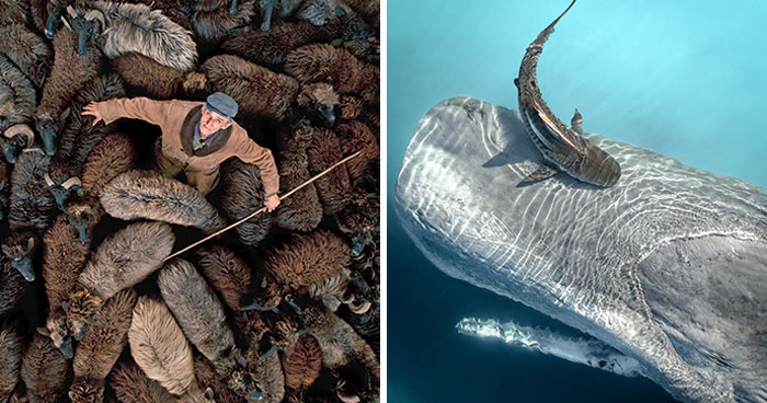 30 Best Drone Photos Of 2024, According To The Siena Awards