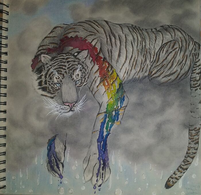 Rain Tiger