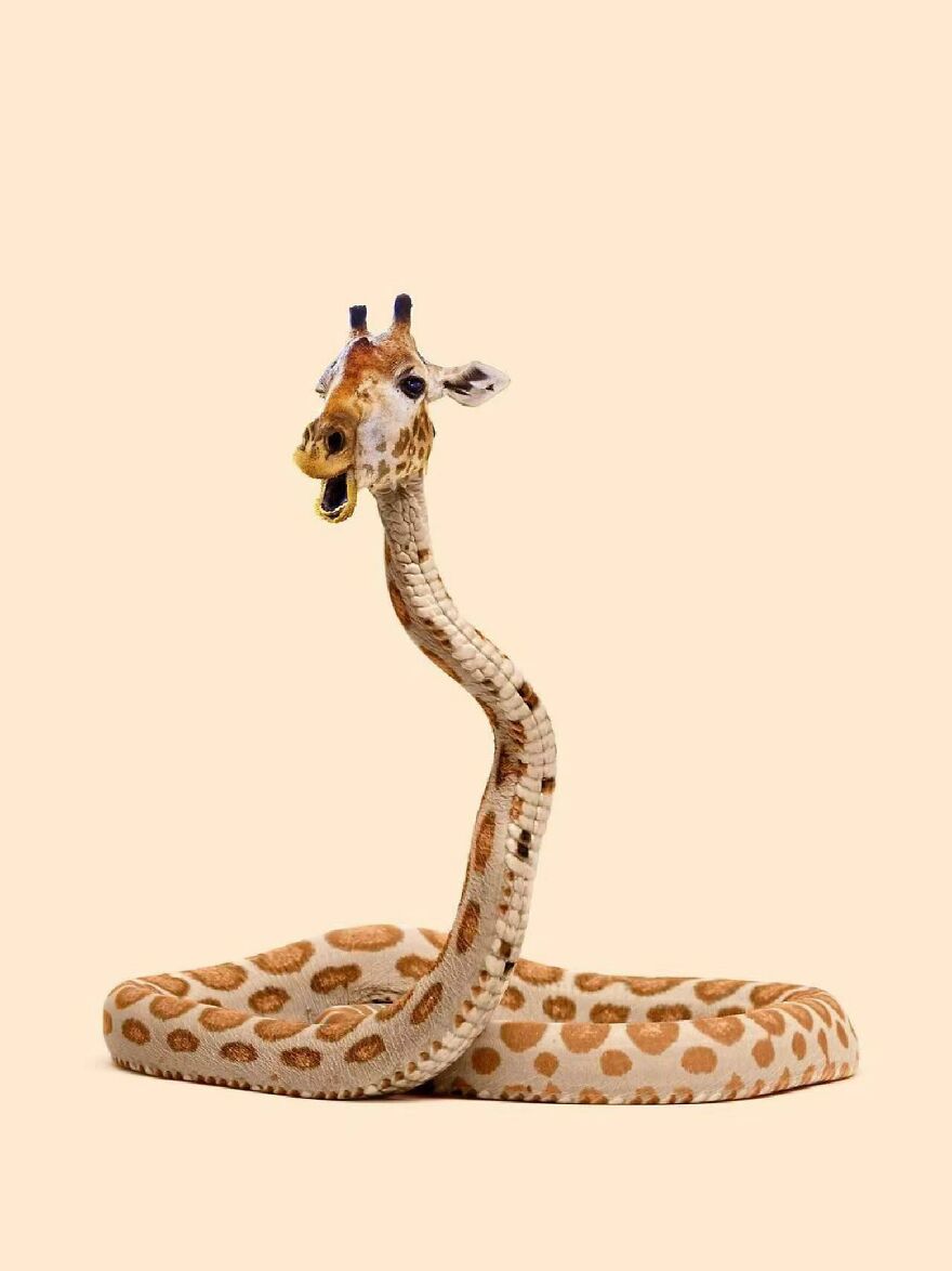 There Is Nothing Wrong With This Design