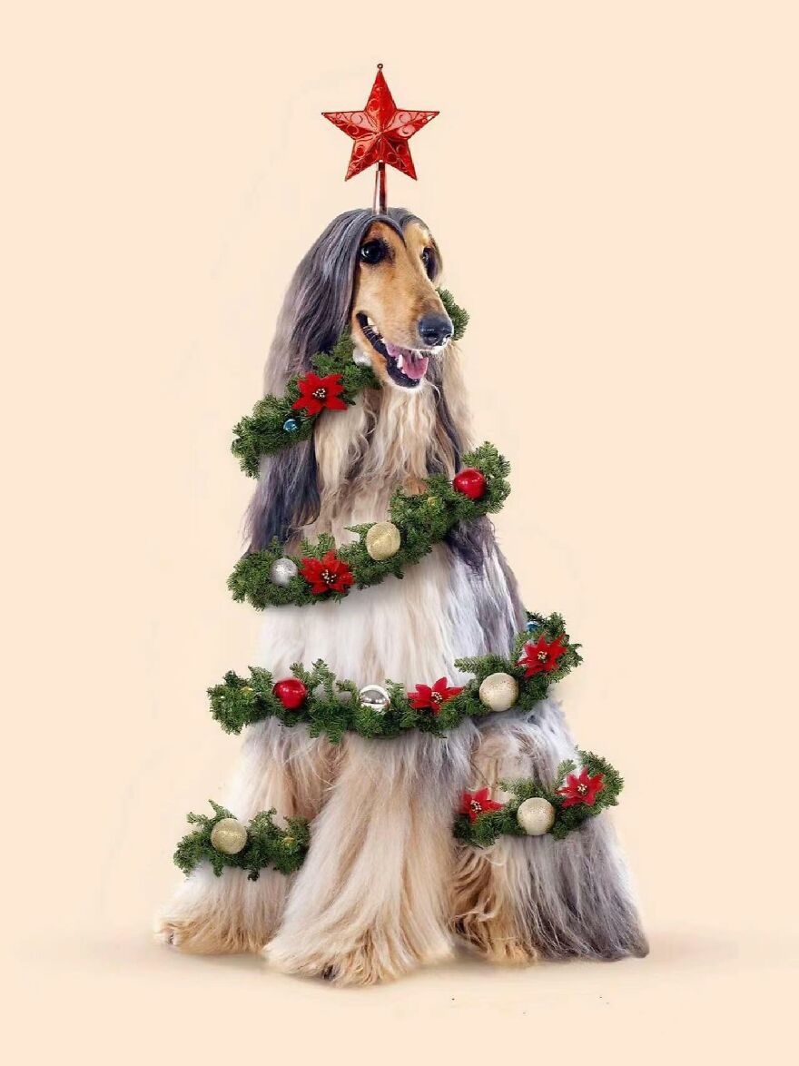 There Is Nothing Wrong With This Design