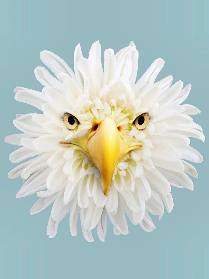 There Is Nothing Wrong With This Design