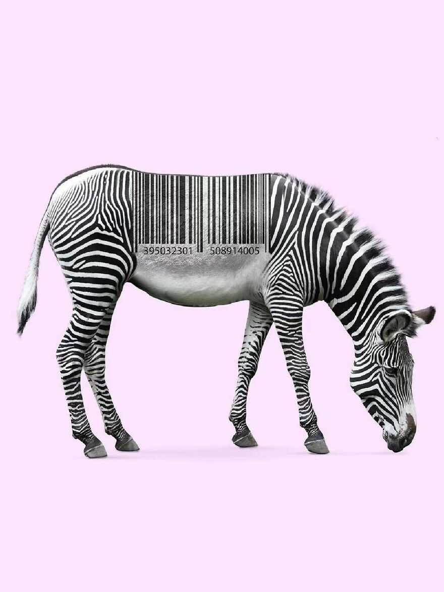 There Is Nothing Wrong With This Design