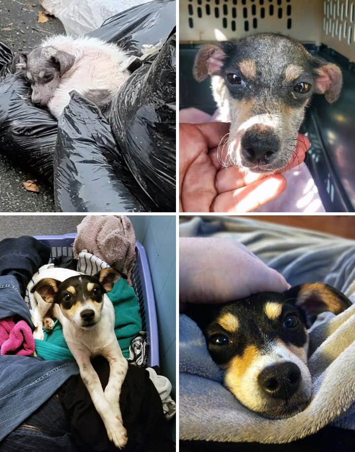 Stella's Before And After