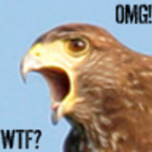 the_true_opifex avatar