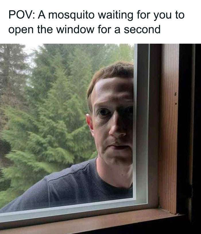 A person peering through a window with a humorous caption about mosquitoes, adding a touch of hilarity to the scene.