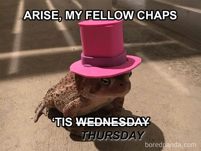 Toad wearing pink hat with Thursday meme text, humorously getting ready for the weekend.