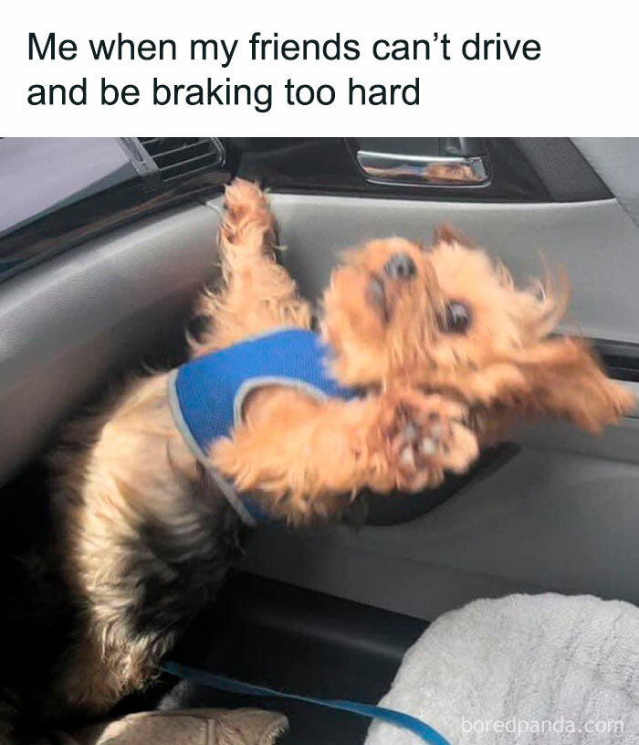 Funny-Relatable-Memes-Queensavagexo