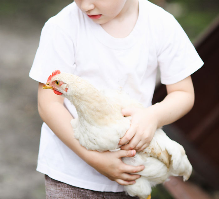 “My Son Was Shocked”: A Trip To A Local Fair Makes A 6-Year-Old Vegetarian “My Son Was Shocked”: A Trip To A Local Fair Makes A 6-Year-Old Vegetarian
