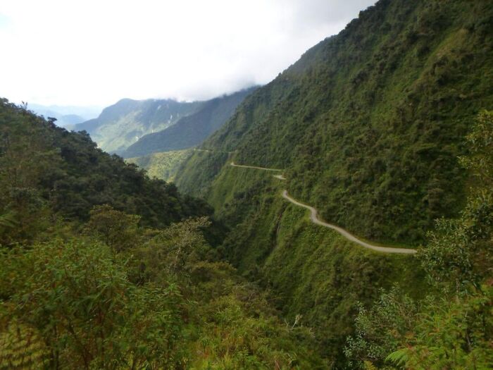 Narrow winding mountain road surrounded by dense green vegetation, hinting at frightening vacation stories.