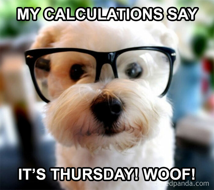 Cute dog wearing glasses with text: "My calculations say it’s Thursday! Woof!" Perfect Thursday meme for the weekend.