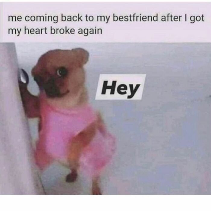 Funny-Relatable-Memes-Queensavagexo