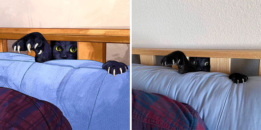 33 Of The Funniest Internet-Famous Cat Pics Get Illustrated By Catwheezie (New Pics)