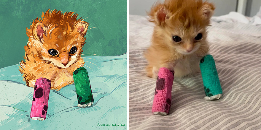 33 Of The Funniest Internet-Famous Cat Pics Get Illustrated By Catwheezie (New Pics)