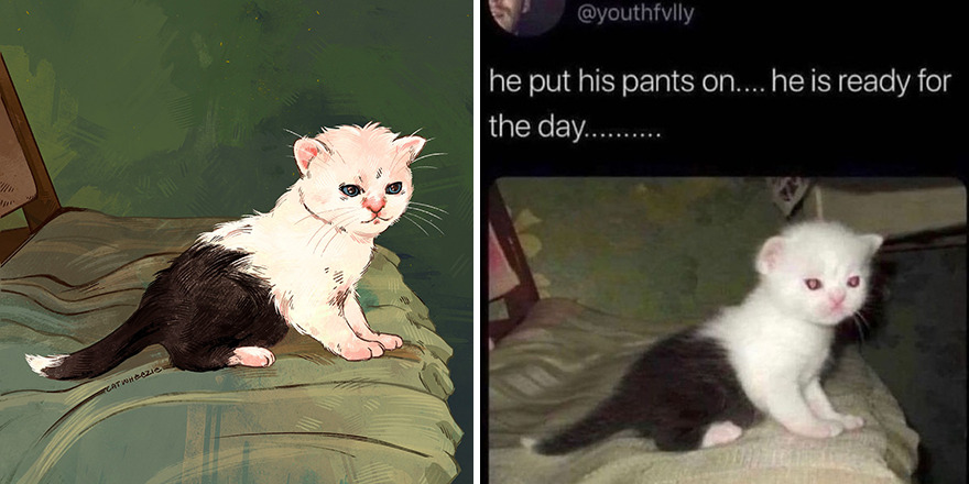 33 Of The Funniest Internet-Famous Cat Pics Get Illustrated By Catwheezie (New Pics)