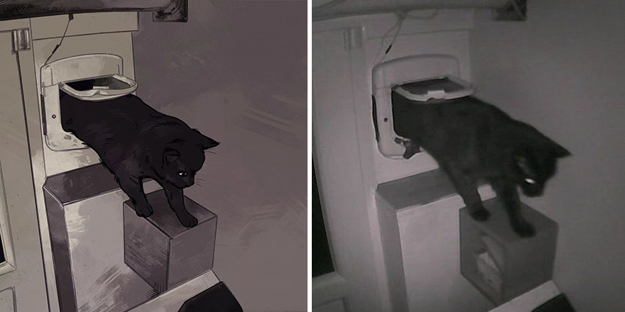 33 Of The Funniest Internet-Famous Cat Pics Get Illustrated By Catwheezie (New Pics)