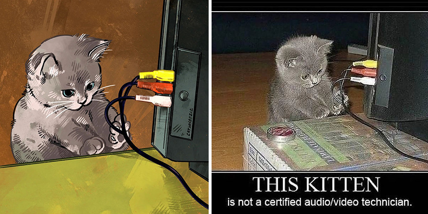 33 Of The Funniest Internet-Famous Cat Pics Get Illustrated By Catwheezie (New Pics)