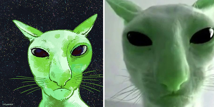33 Of The Funniest Internet-Famous Cat Pics Get Illustrated By Catwheezie (New Pics)