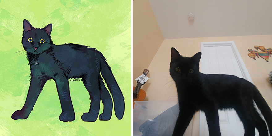 33 Of The Funniest Internet-Famous Cat Pics Get Illustrated By Catwheezie (New Pics)