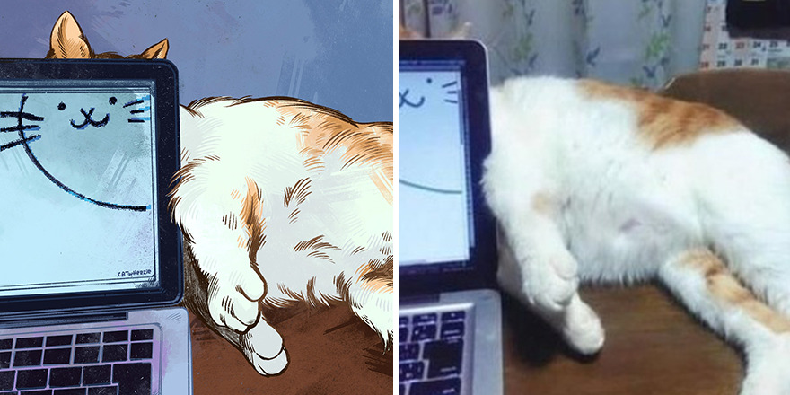 33 Of The Funniest Internet-Famous Cat Pics Get Illustrated By Catwheezie (New Pics)
