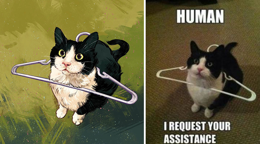 33 Of The Funniest Internet-Famous Cat Pics Get Illustrated By Catwheezie (New Pics)