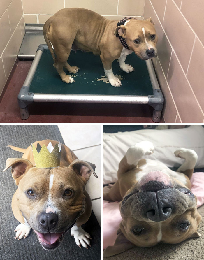 My Rescue From The Day We Met And To This Week