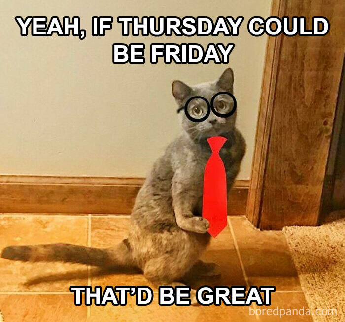 Cat wearing glasses and a red tie with text humor about Thursday wanting to be Friday, hinting at weekend excitement.