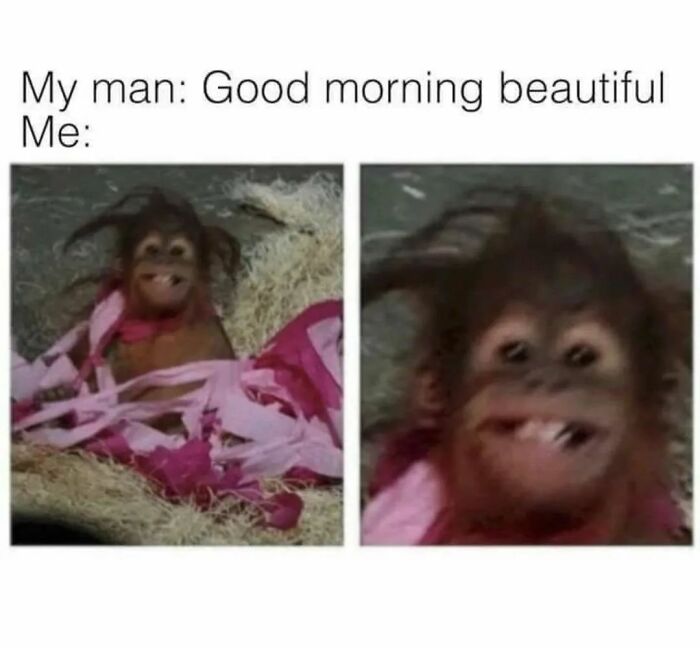 Funny-Relatable-Memes-Queensavagexo