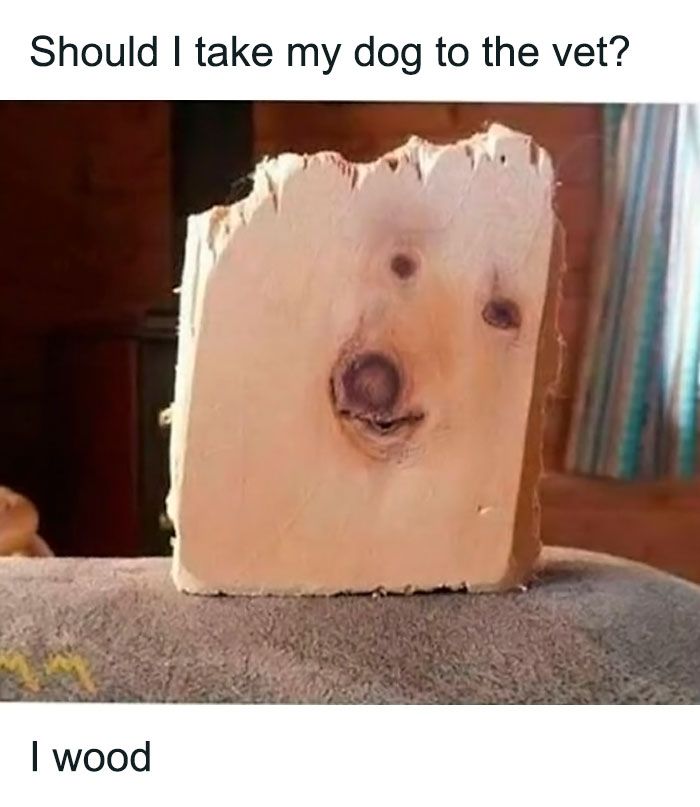 Funny-Parent-Jokes-Puns