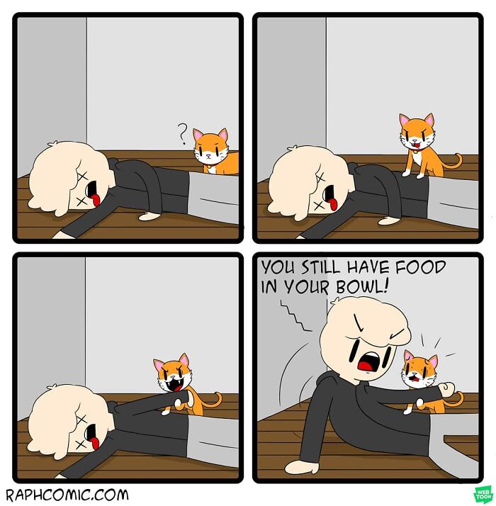 Dark humor comic panels show a cat waking a person with a funny demand about food in a bowl, highlighting artist's dark humor.