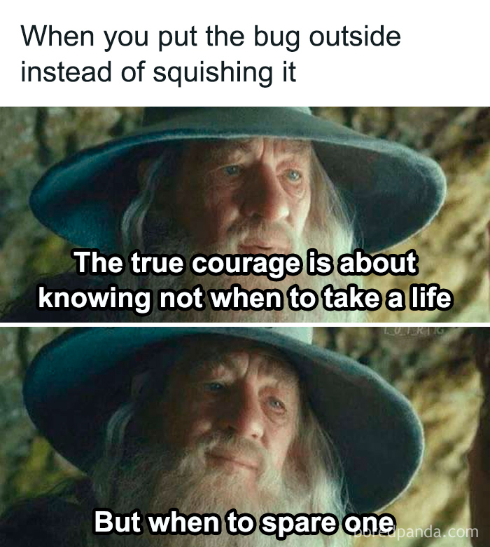 Funny-Lotr-Memes