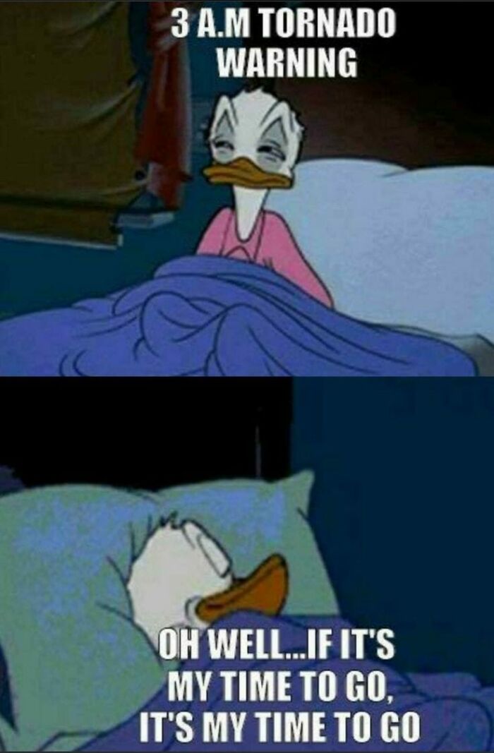 Cartoon duck in bed during tornado warning, showcasing hilarious meme humor.