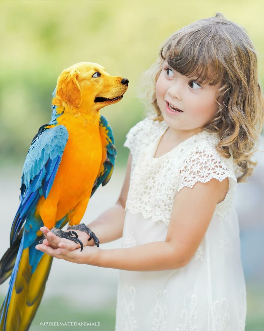 27 Imaginary Creatures That I Photoshopped By Fusing Two Existing Ones (New Pics) (Interview)