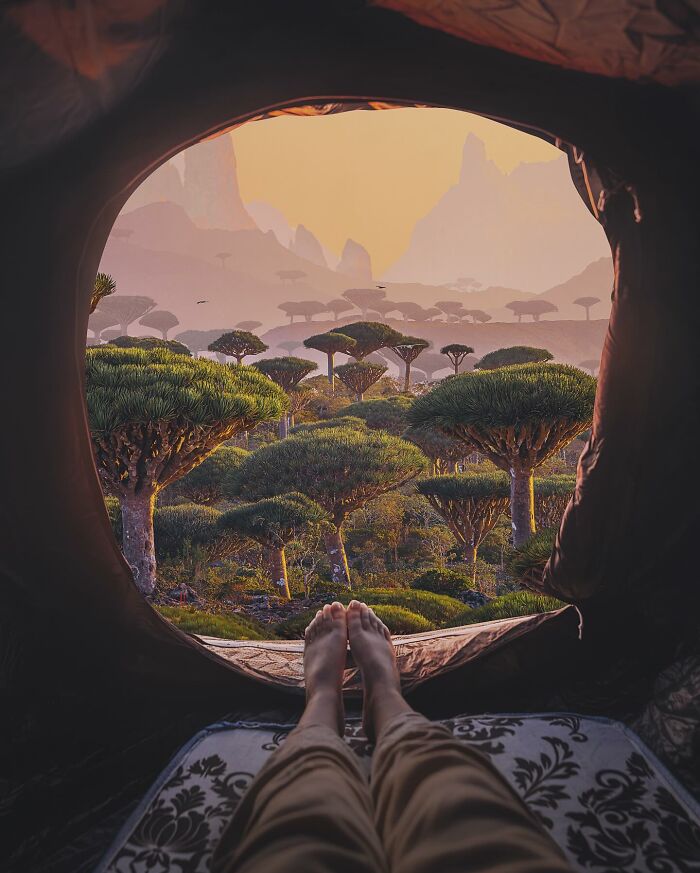 The Small Island Of Socotra