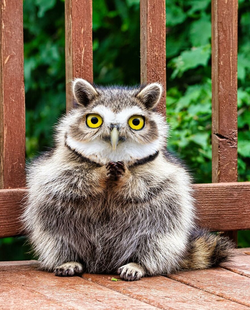 27 Imaginary Creatures That I Photoshopped By Fusing Two Existing Ones (New Pics) (Interview)