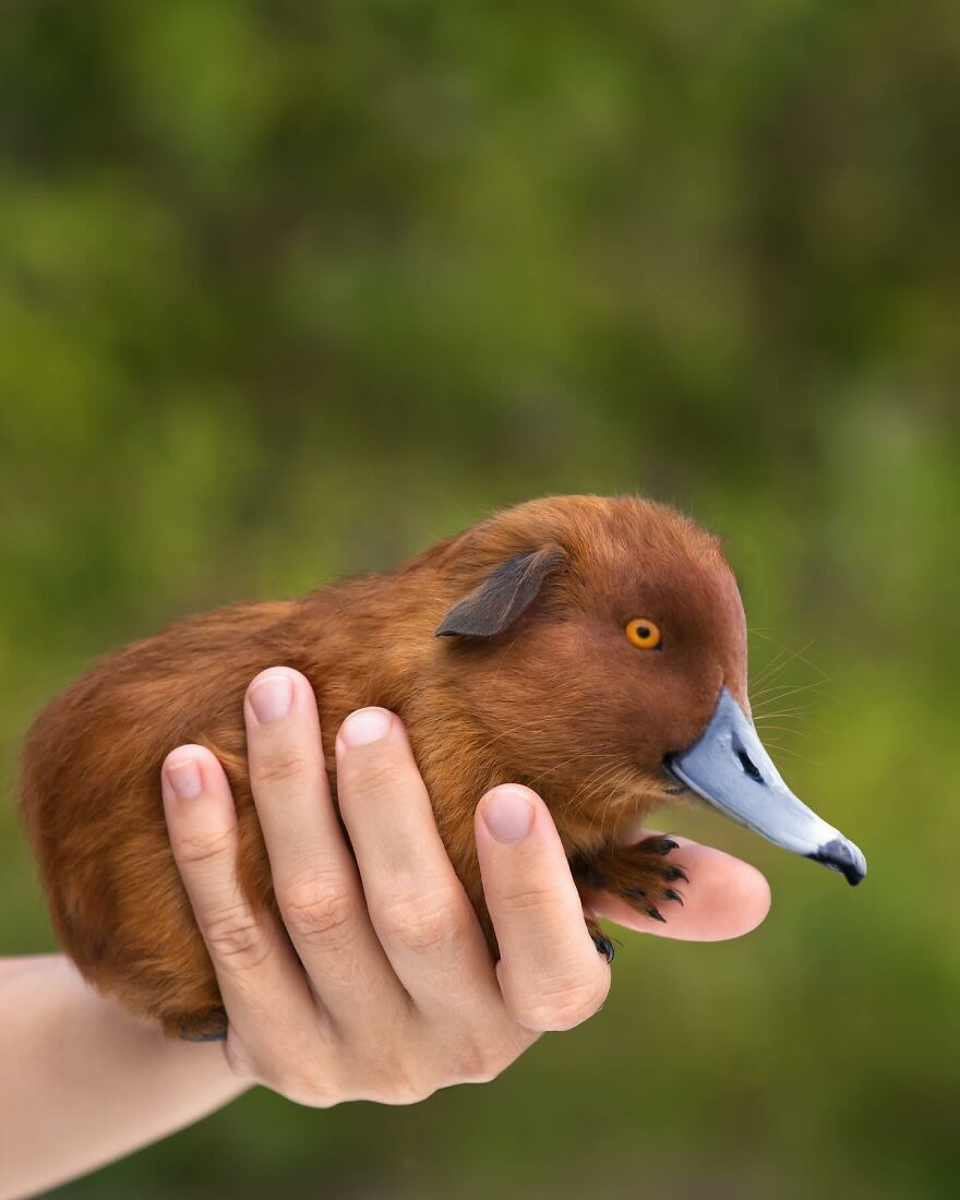 27 Imaginary Creatures That I Photoshopped By Fusing Two Existing Ones (New Pics) (Interview)