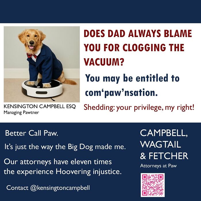 27 Parody Ads For All The Dogs Seeking Attorney Services By Kensington Campbell (New Pics)