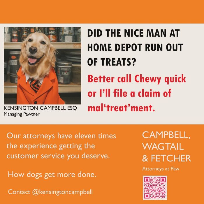 27 Parody Ads For All The Dogs Seeking Attorney Services By Kensington Campbell (New Pics)