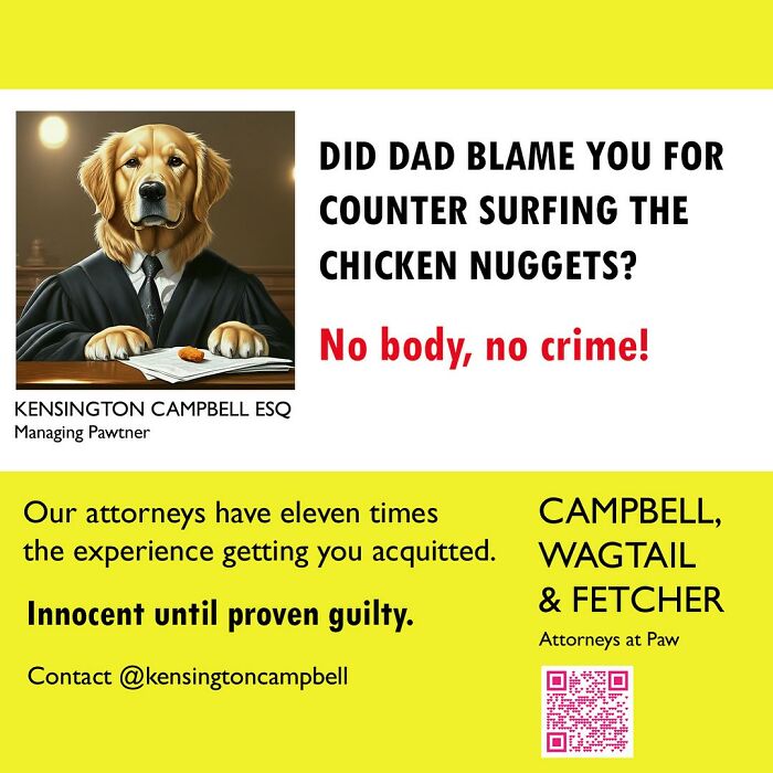27 Parody Ads For All The Dogs Seeking Attorney Services By Kensington Campbell (New Pics)