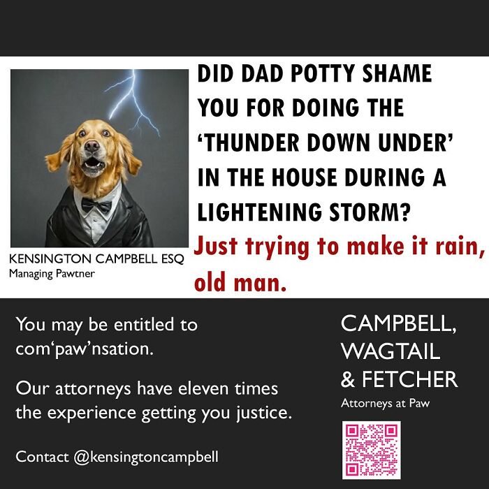 27 Parody Ads For All The Dogs Seeking Attorney Services By Kensington Campbell (New Pics)