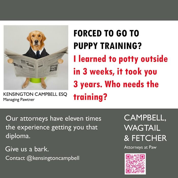 27 Parody Ads For All The Dogs Seeking Attorney Services By Kensington Campbell (New Pics)