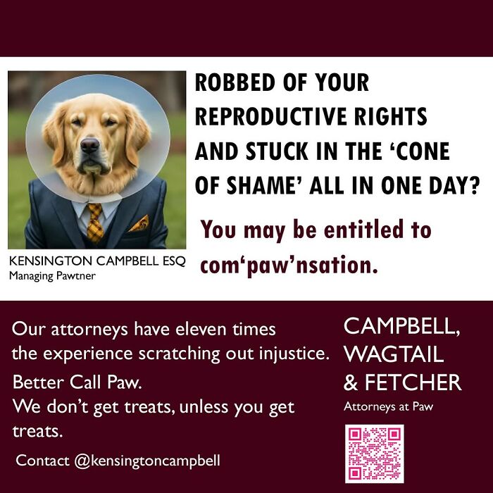 27 Parody Ads For All The Dogs Seeking Attorney Services By Kensington Campbell (New Pics)