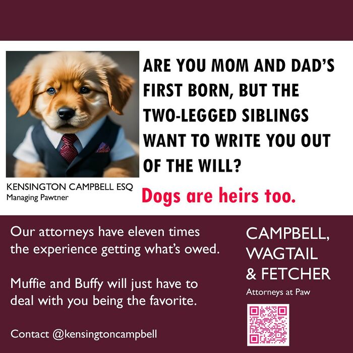 27 Parody Ads For All The Dogs Seeking Attorney Services By Kensington Campbell (New Pics)