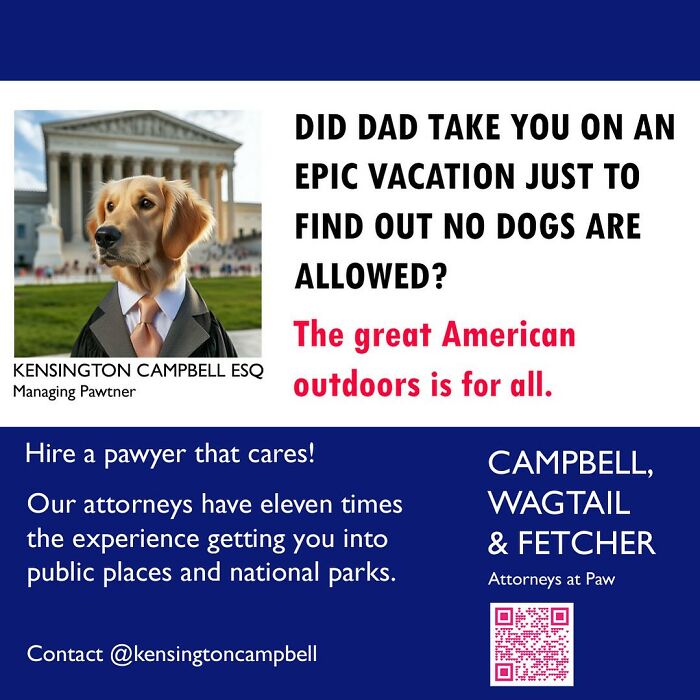 27 Parody Ads For All The Dogs Seeking Attorney Services By Kensington Campbell (New Pics)